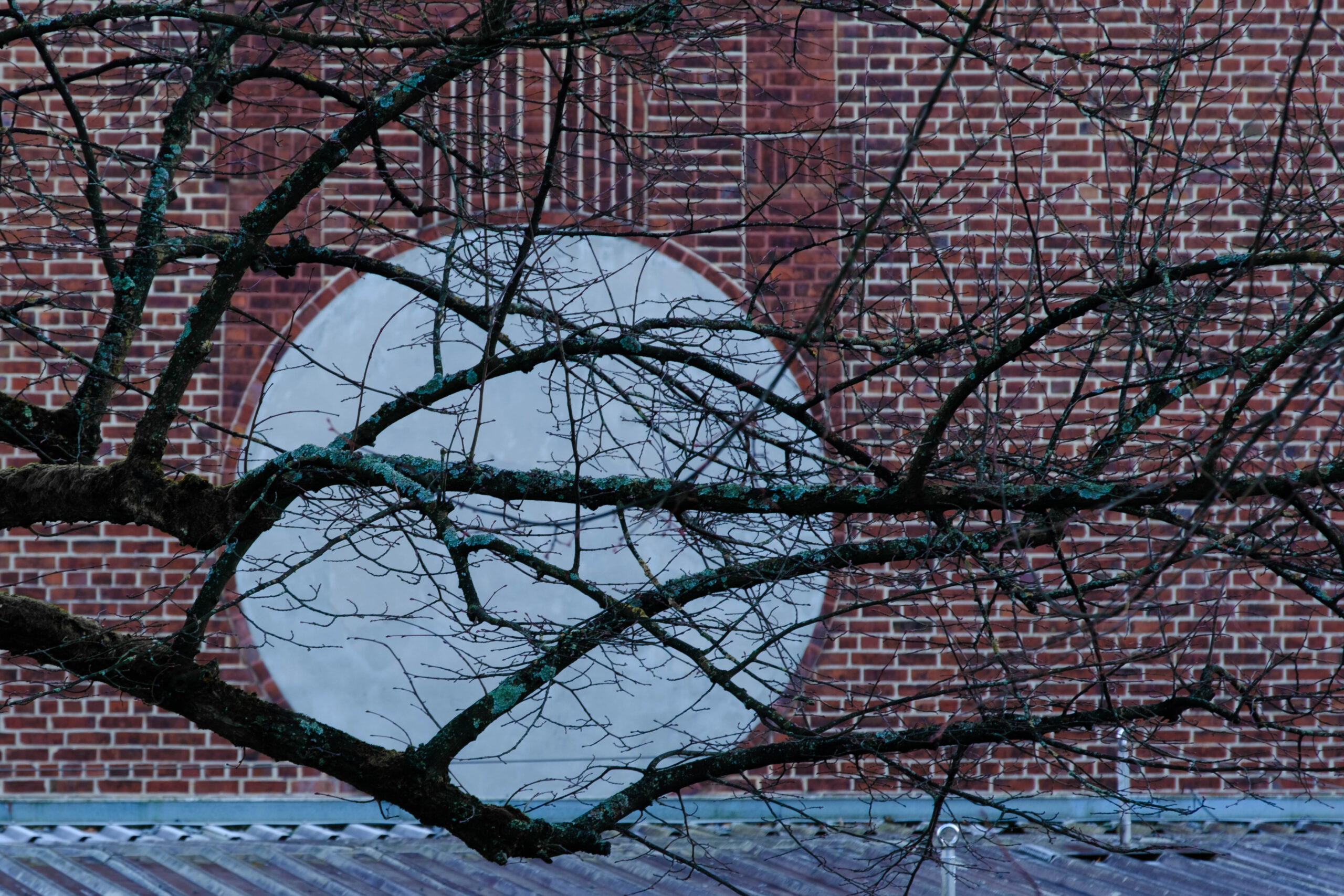 Zimmer mit Meerblick