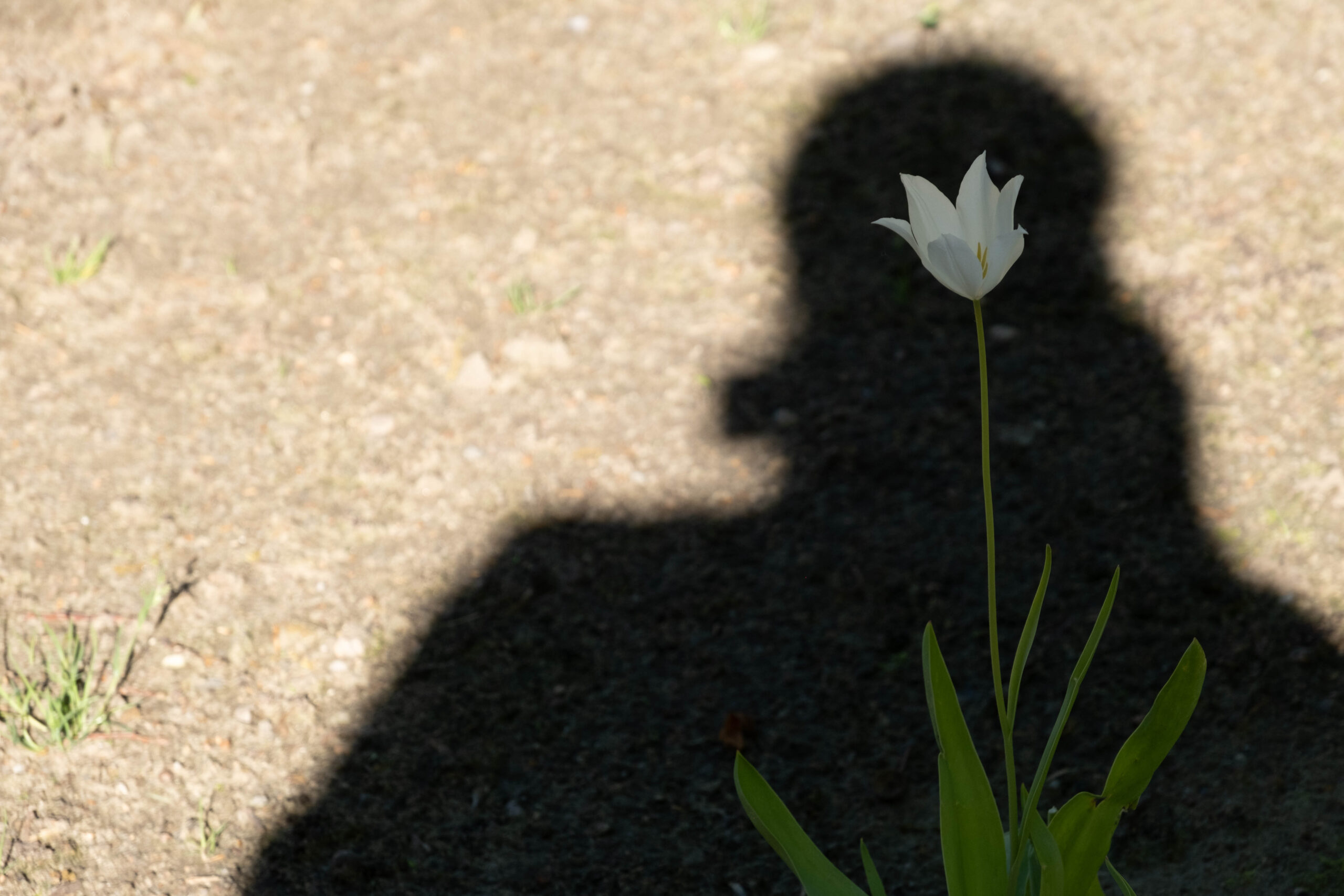 Licht und Schatten
