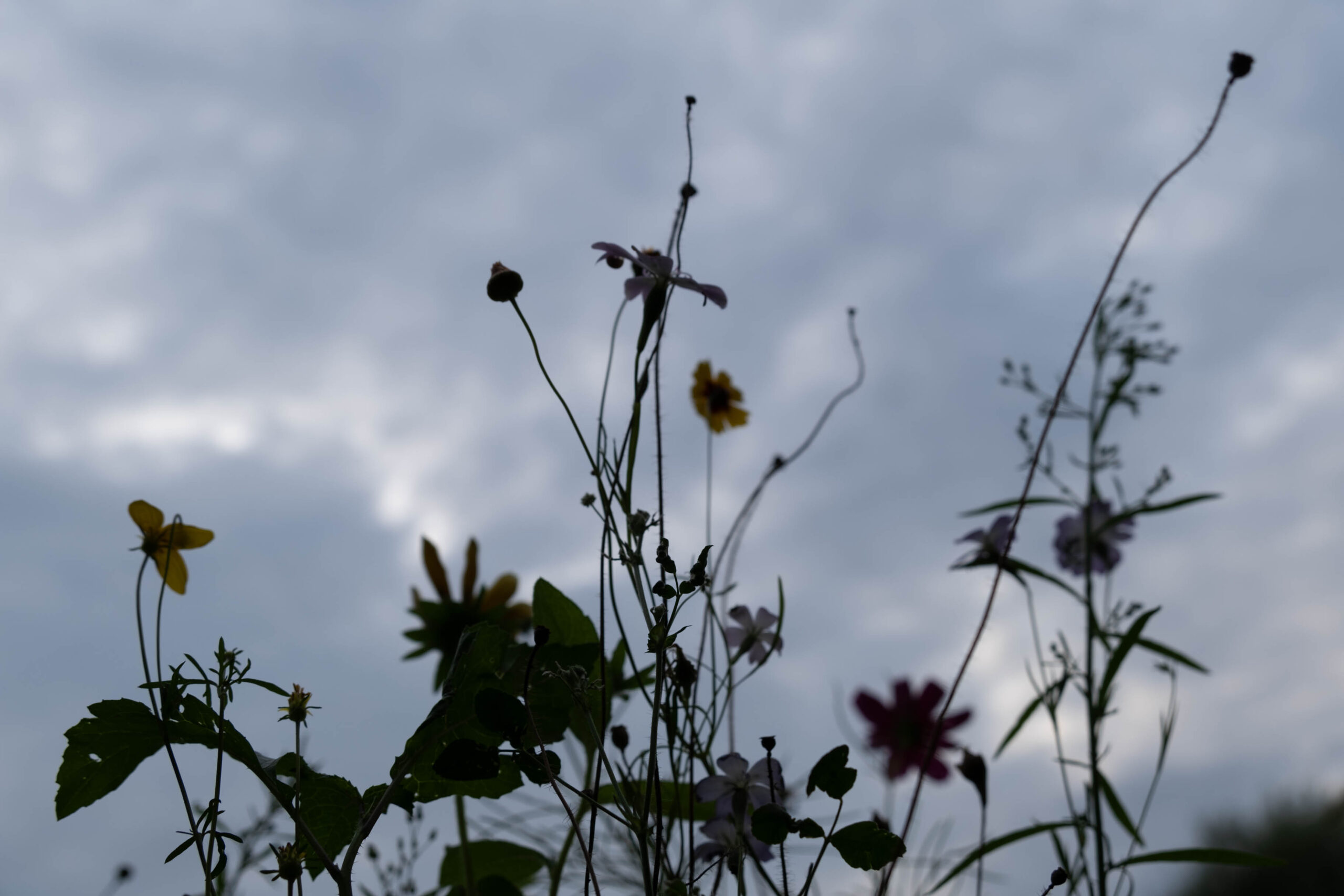 Hintergründig
